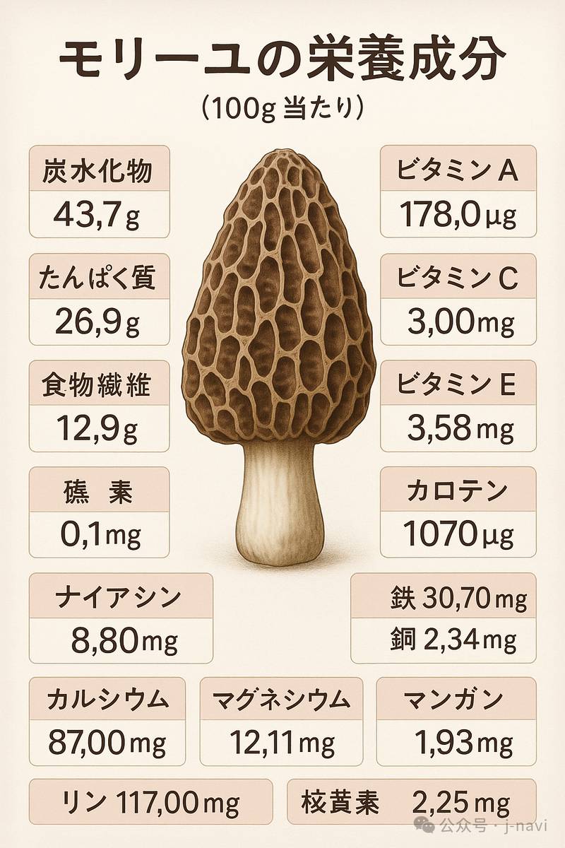 モリーユ茸の栄養成分表